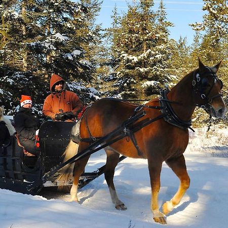 Le St Bernard - Les Chalets Spa Canada La Malbaie Zewnętrze zdjęcie