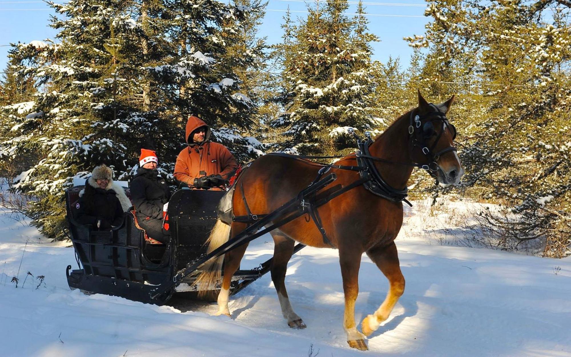 Le St Bernard - Les Chalets Spa Canada La Malbaie Zewnętrze zdjęcie